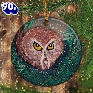 Owl Found In Rockefeller Tree…