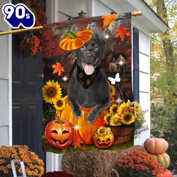 Halloween  Black Labrador Pumpkin Happy Fall Y’all Flag, Halloween Garden Flags