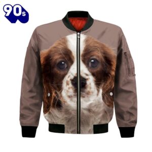 Cavalier King Charles Spaniel –…