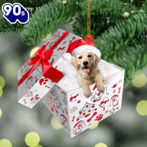 Golden-Retriever In Gift Box Christmas…