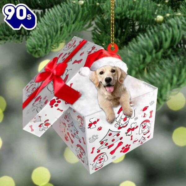 Golden-Retriever In Gift Box Christmas Ornament, Gift For Christmas