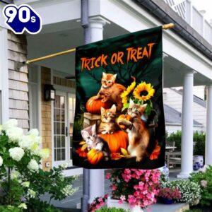 halloween cats trick or treat…