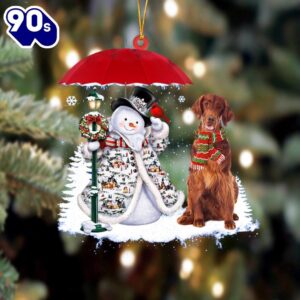 Irish Setter With Snowman Christmas…