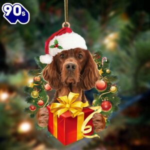 Irish Setter-Dogs Give Gifts Hanging…