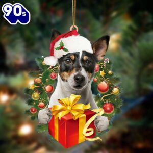 Jack Russell Terrier-Dogs Give Gifts…