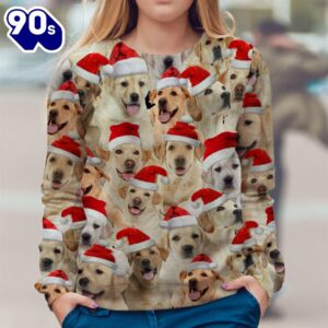 Labrador Merry Christmas Ugly Premium Sweater