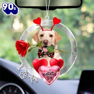 Labrador Retriever With Rose &…