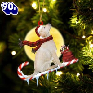 Labrador-Retriever On The Candy Cane…