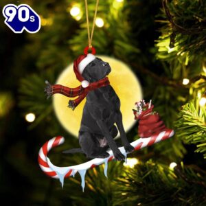 Labrador-Retriever（Black） On The Candy Cane…