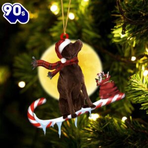 Labrador-Retriever（Chocolate） On The Candy Cane…