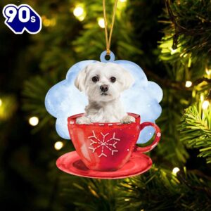 Maltese On The Cup Christmas…