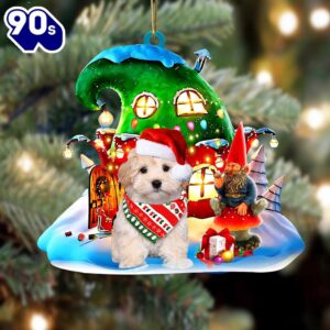 Maltipoo With Rudolph’s House Christmas…