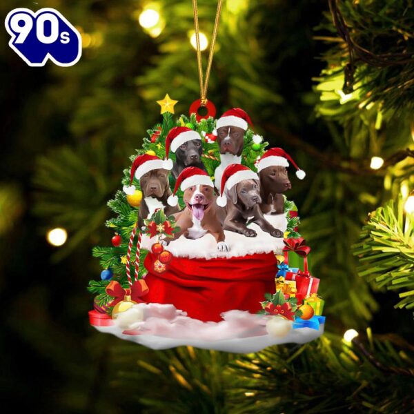 Pit Bull Dogs In A Gift Bag Christmas Ornament, Gift For Christmas