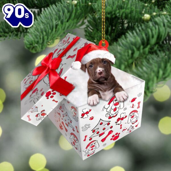 Pit-Bull In Gift Box Christmas Ornament, Gift For Christmas