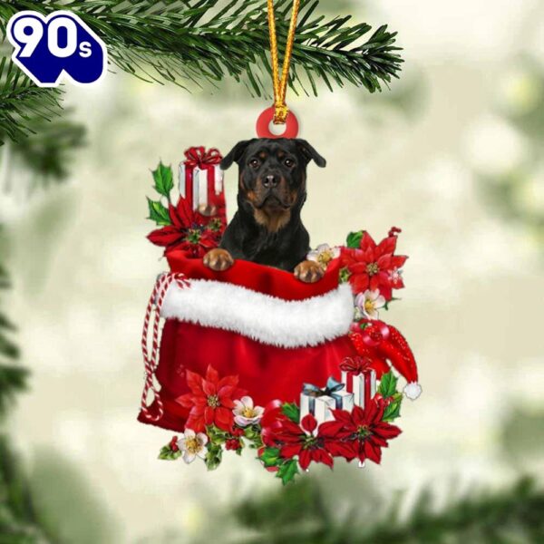 Rottweiler 2 In Gift Bag Christmas Ornament, Gift For Christmas